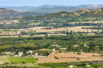 GORDES, PROVENCE, FRANCE: aerial view of Luberon vineyards, 