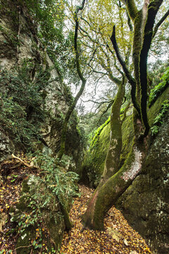 MERINDOL, PROVENCE, FRANCE: Regalon Canyon, rocky landscape of the "Petit Luberon" and scrubland, between Merindol and Oppede