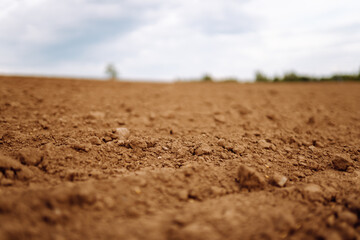 Rural landscape. Close-up of black soil prepared before sowing plants, vegetables, seed in sunset light. Fertile land texture.
