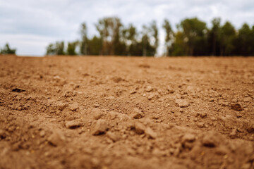 Rural landscape. Close-up of black soil prepared before sowing plants, vegetables, seed in sunset light. Fertile land texture.