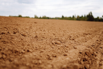 Rural landscape. Close-up of black soil prepared before sowing plants, vegetables, seed in sunset light. Fertile land texture.
