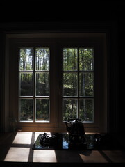 Lake view from a window