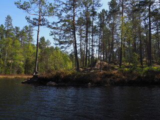 Lake in the forest in Norway