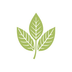Simple and elegant leaf icon for nature designs