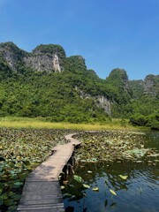 Serene Pond