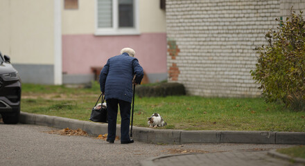 An elderly woman feeds a stray cat