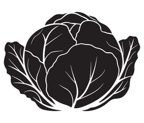 Obraz premium Illustration of a cabbage with a leaf, Cabbage silhouette icon, Illustration of a cabbage
