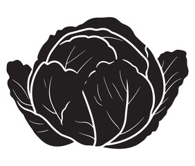 Obraz premium Illustration of a cabbage with a leaf, Cabbage silhouette icon, Illustration of a cabbage