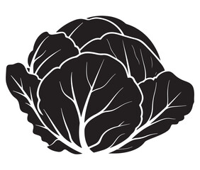 Illustration of a cabbage with a leaf, Cabbage silhouette icon, Illustration of a cabbage