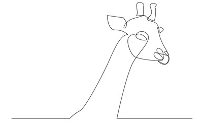Vector one continuous outline Giraffe drawing and simple minimalist design vector and minimalist