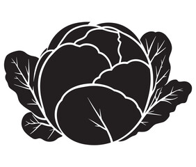 Illustration of a cabbage with a leaf, Cabbage silhouette icon, Illustration of a cabbage