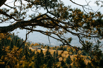 Small house in the field. Elati, Greece