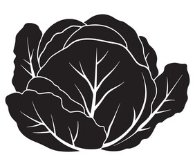 Illustration of a cabbage with a leaf, Cabbage silhouette icon, Illustration of a cabbage