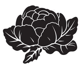 Obraz premium Illustration of a cabbage with a leaf, Cabbage silhouette icon, Illustration of a cabbage