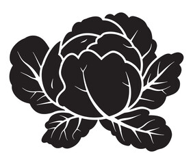 Obraz premium Illustration of a cabbage with a leaf, Cabbage silhouette icon, Illustration of a cabbage