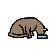 food bowl cat breeding color icon vector. food bowl cat breeding sign. isolated symbol illustration