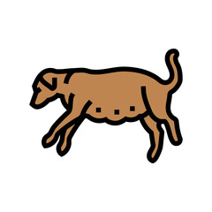 pregnant dog color icon vector. pregnant dog sign. isolated symbol illustration