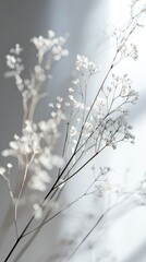 Serene Scene of Silver Background with Soft Light