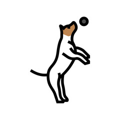 ball dog color icon vector. ball dog sign. isolated symbol illustration