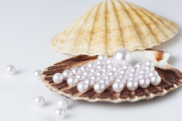 Beautiful white sea pearls on a white backdrop.