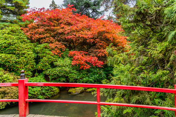 Kubota Gardens Colorful Leaves 2