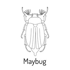 Maybug. Lamellaridae insects. Fauna coloring page. Graphic sketch of an isolated beetle with title. Vector illustration.