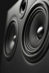 Closeup of a powerful speaker driver