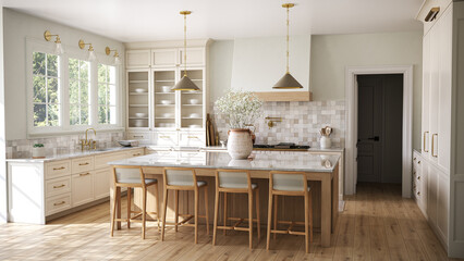 Rendering of a classic kitchen in the American style 2.3D illustration