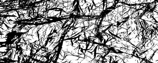 Black white grunge isolated vector background. Scratched Grunge Urban Background Texture Vector. Isolated Black on White Background. Vector the cracks concrete texture background.	