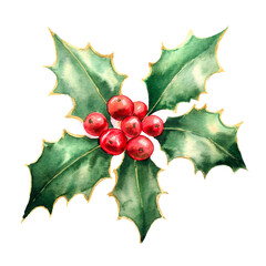 Watercolor painting of holly berries on a white background, with rich reds and deep greens, perfect for holiday cards and seasonal artwork