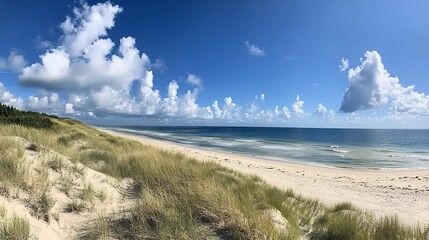 A panoramic view of a pristine sandy beach with turquoise waters, a lush green dune with grasses, and a blue sky with fluffy white clouds.