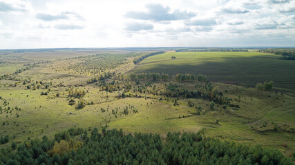 Fototapeta premium Green expanses