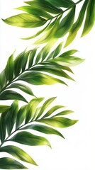 Fototapeta premium Lush green leaves gracefully cascading against a clean white background in bright daylight