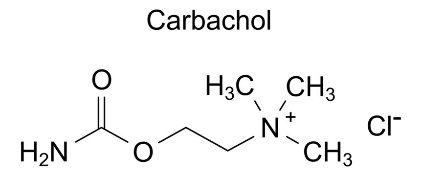 Chemical structure of carbachol, drug substance