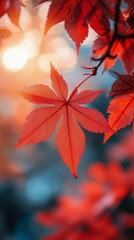 Golden autumn leaves glisten in sunlight filtering through trees at a serene park during fall