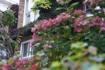 Victorian and Edwardian buildings, Autumn in Notting Hill, Kensington and Chelsea, London, United Kingdom