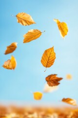 Autumn leaves floating in the air against a clear blue sky