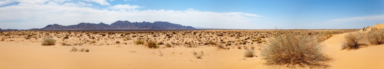 Panoramic landscape of Sonora Desert in Mexico