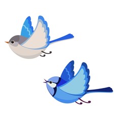 blue bird with a heart