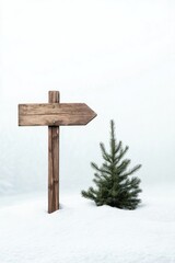 Wooden directional sign pointing the way in snowy landscape with small evergreen tree