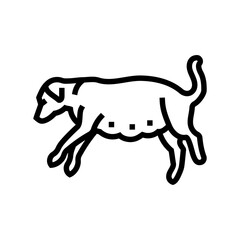 pregnant dog line icon vector. pregnant dog sign. isolated contour symbol black illustration