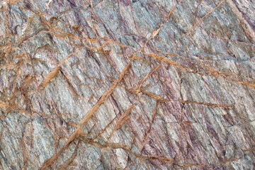Exposed rock face with detailed geological strata patterns