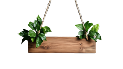 Decorative wooden hanging planter with vibrant green plants isolated on transparent background