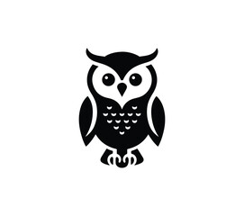 Obraz premium owl