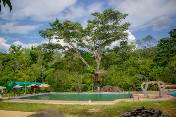 piscina en medio de la selva de per&uacute; con arboles frondosos de fondo