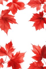 Vibrant red maple leaves frame a white background