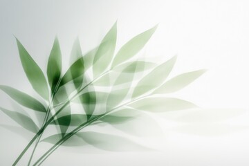 Abstract nature background with blurred green leaves