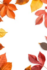 Vibrant autumn leaves on a white background