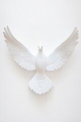 Fototapeta premium A majestic white dove with outstretched wings against a plain background