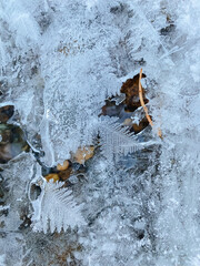 This image features a striking closeup view of a fascinating piece of ice that contains a delicate...